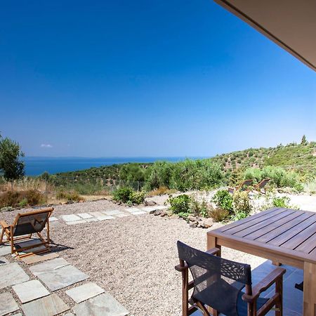 Alterra Vita Eco Villas 新马尔马拉斯 外观 照片