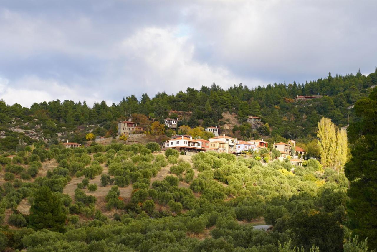 Alterra Vita Eco Villas 新马尔马拉斯 外观 照片